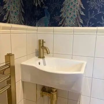 Selma Brushed Brass Cloakroom Basin Mixer Tap