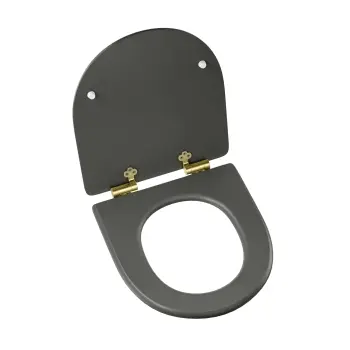 Kansas Traditional Graphite Grey Wooden Soft Close Seat with Brushed Brass Hinges