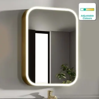 Willow Brushed Brass Illuminated LED Mirror Cabinet 700x500mm