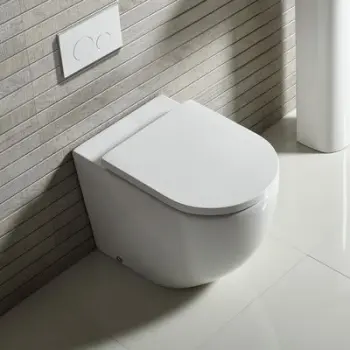 Back To Wall Toilets