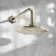 Kenmare Traditional English Gold Shower Head and Wall Arm