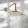 Kenmare Traditional English Gold Shower Head and Wall Arm