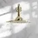Kenmare Traditional English Gold Shower Head and Wall Arm