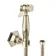 Kenmare Traditional English Gold Douche Kit