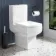 Portland Quick Release Soft Close Toilet Seat