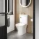 Brushed Brass Cistern Flush Button for Loma & Brooklyn Combined 2-In-1 Wash Basin + Toilet