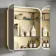 Willow Brushed Brass Illuminated LED Mirror Cabinet 700x600mm