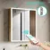 Margot Brushed Brass Illuminated LED Mirror Cabinet With BLUETOOTH Speaker & USB Port 700x600mm