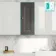 Graphite Grey Wall Hung Cabinet 700x300mm - Brushed Brass Accents