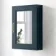Inky Blue Mirror Cabinet 700x500mm - Brass Knurled Handles