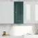Midnight Green Wall Hung Cabinet 700x300mm
