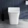 Houston Rimless Back To Wall Toilet With Premium Soft Close Slim Seat