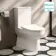 Miami Rimless Close Coupled Toilet With Slim Soft Close Seat