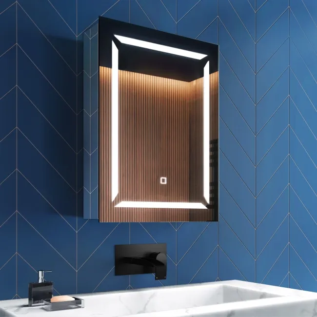 Haisley Cloakroom Illuminated LED Mirror Cabinet 600x450mm