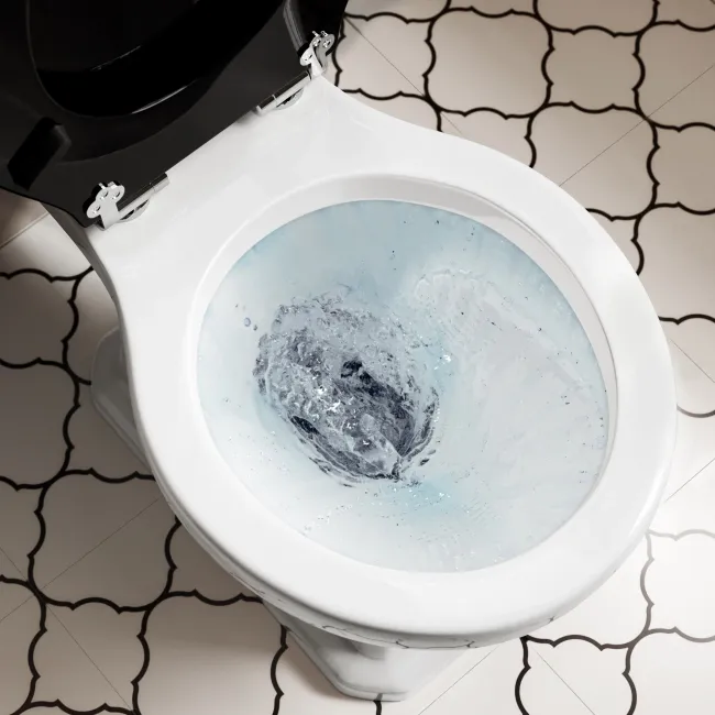 Enid Traditional Toilet With Low-Level Cistern and Gloss Black Wooden Seat