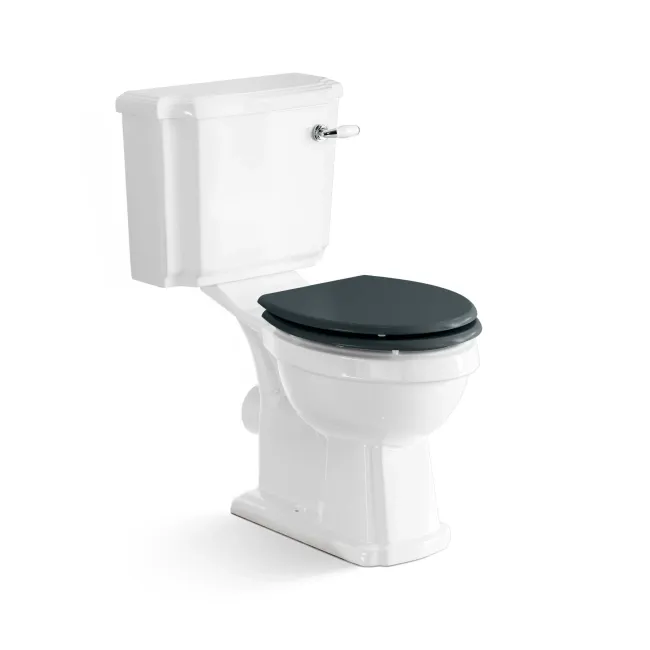Hudson Traditional Close Coupled Toilet With Inky Blue Wooden Seat