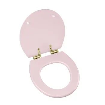 Hudson Traditional Cashmere Pink Wooden Soft Close Seat with Brushed Brass Hinges