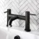 Selma Matt Black Bath Filler