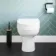 Seattle Back To Wall Toilet With Soft Close Seat