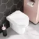 Denver Back To Wall Toilet With Soft Close Seat