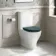 Kansas Traditional Rimless Close Coupled Toilet With Midnight Green Wooden Seat