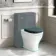 Kansas Traditional Rimless Back To Wall Toilet With Inky Blue Wooden Seat