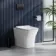 Houston Rimless Back To Wall Toilet With Premium Soft Close Slim Seat