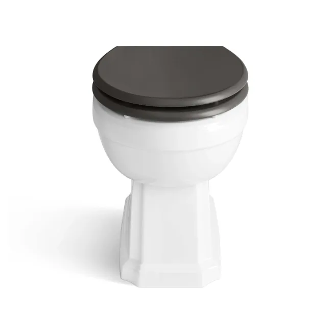 Hudson Traditional Back To Wall Toilet With Graphite Grey Wooden Seat - Brushed Brass Hinges