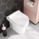 Denver Back To Wall Toilet With Soft Close Slim Seat