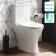 Napa Rimless Comfort Height Close Coupled Toilet With Slim Soft Close Seat