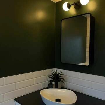 Olivia Black Framed Mirror Cabinet 710x500mm