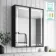 Mia Black Framed Illuminated LED Mirror Cabinet 710x600mm