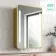 Olivia Battery Operated Matt Brass Illuminated LED Mirror Cabinet 710x500mm