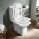 Dallas Rimless Close Coupled Toilet With Slim Soft Close Seat