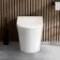 Tucson Rimless Back To Wall Toilet With Premium Soft Close Seat