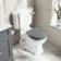 Hudson Traditional Close Coupled Toilet With Dove Grey Wooden Seat - Brushed Brass Lever