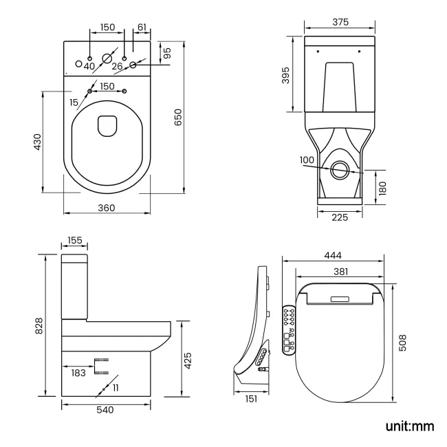 Denver Rimless Fully Back to Wall Close Coupled Toilet With Smart Bidet Seat