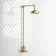 Shannon Brushed Brass Traditional Thermostatic Shower Set