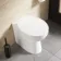 Austin Back To Wall Toilet With Soft Close Seat