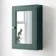 Midnight Green Mirror Cabinet 700x500mm - Brushed Brass Accents