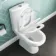 Seattle Rimless Close Coupled Toilet With Soft Close Seat