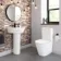 Boston Rimless Fully Back To Wall Close Coupled Toilet With Premium Soft Close Seat