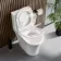 Tucson Rimless Close Coupled Toilet With Premium Soft Close Seat