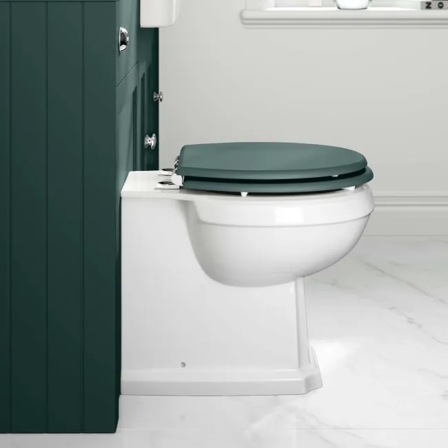 Hudson Traditional Back To Wall Toilet With Midnight Green Wooden Seat