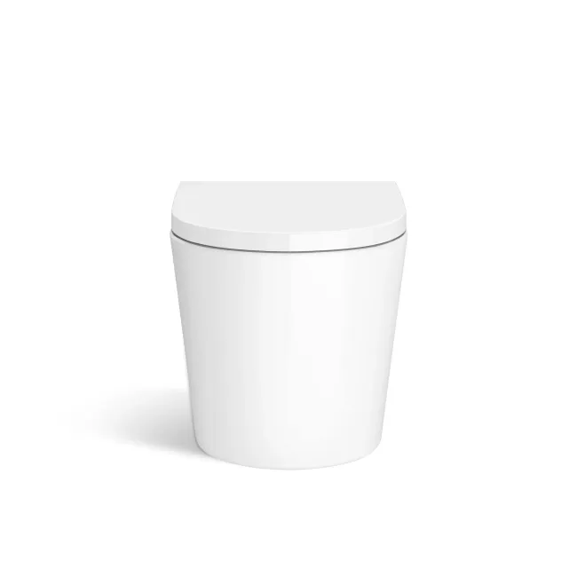 Boston Rimless Wall Hung Toilet With Premium Soft Close Seat