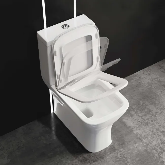Atlanta Fully Back to Wall Close Coupled Toilet & Pedestal Basin Set