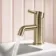 Trent Brushed Brass Cloakroom Basin Mixer Tap