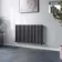 Marbella Anthracite Double Oval Panel Radiator 600x1020mm