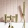 Trent Brushed Brass Basin & Shower Bath Mixer Tap Set