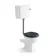Hudson Traditional Toilet With Low-Level Cistern and Inky Blue Wooden Seat